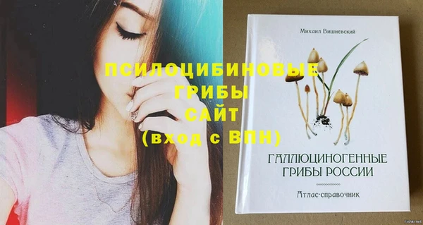 стафф Верея