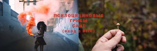 сатива Верхнеуральск