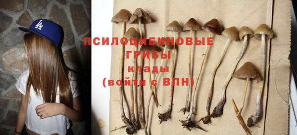 стафф Верея