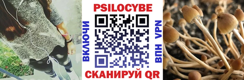 Псилоцибиновые грибы MAGIC MUSHROOMS  Купить  Красавино 